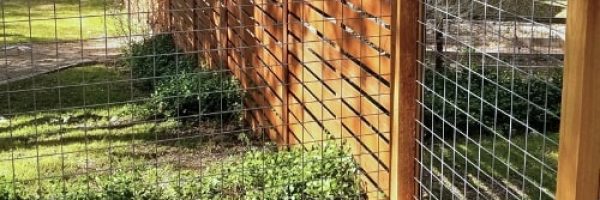 fence-repair-round-rock